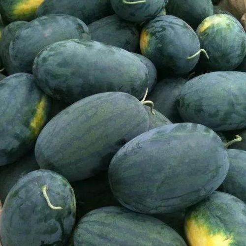 初恋吃瓜,那些甜蜜又酸涩的青春回忆