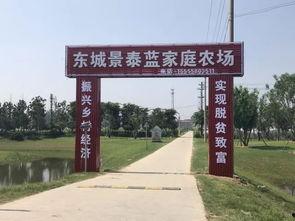 安徽界首 吃瓜,吃瓜群众的欢乐盛宴