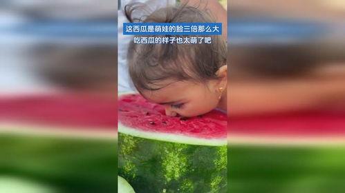 大萌吃瓜,揭秘娱乐圈幕后故事