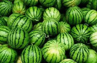 邛崃吃瓜群,揭秘当地生活百态