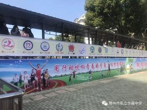 湖南中学吃瓜,揭秘校园美食背后的故事