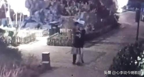 清徐吃瓜事件视频,一场网络热议的真相揭秘