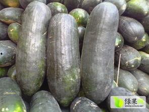 金乡花莹莹吃瓜,瓜界新宠，揭秘花莹莹的吃瓜日常