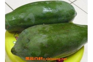 可以吃瓜籽的瓜叫什么瓜,揭秘那些可以吃瓜籽的瓜种