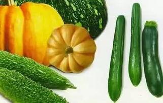 青岛方特吃瓜视频