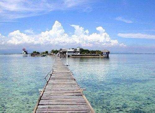 青岛方特吃瓜视频