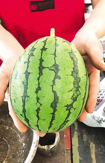 青岛方特吃瓜视频