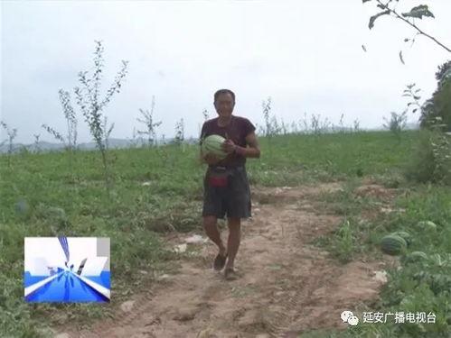 帮助群众吃瓜视频,揭秘热门视频背后的故事