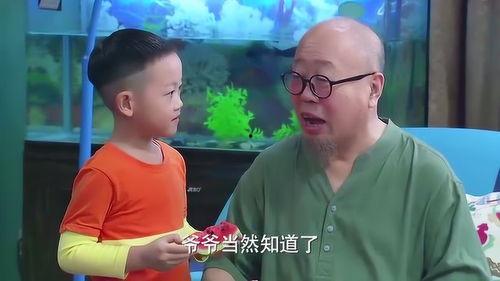 爸爸吃瓜吐籽视频在线观看,在线观看欢乐无限