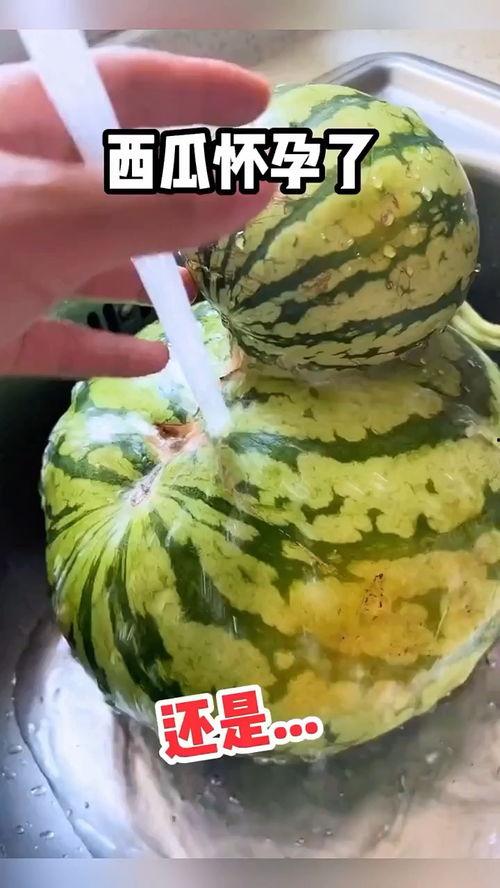 算命吃瓜搞笑视频,搞笑视频笑翻天