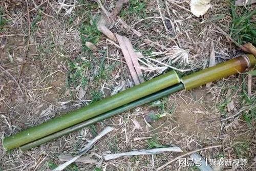 铁锹吃瓜神器怎么做视频,创意视频制作攻略