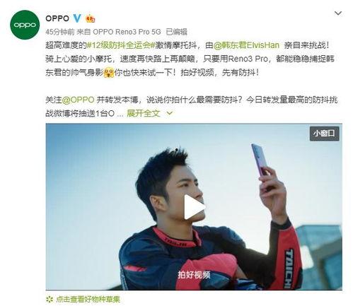 吃瓜挑战的视频在线观看,揭秘热门视频背后的趣味与真相